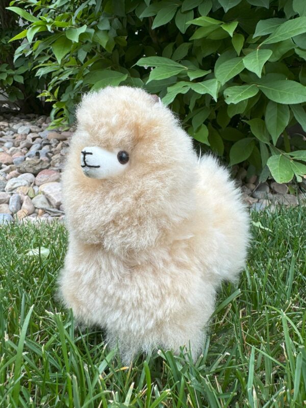 Alpaca Doll - Image 9