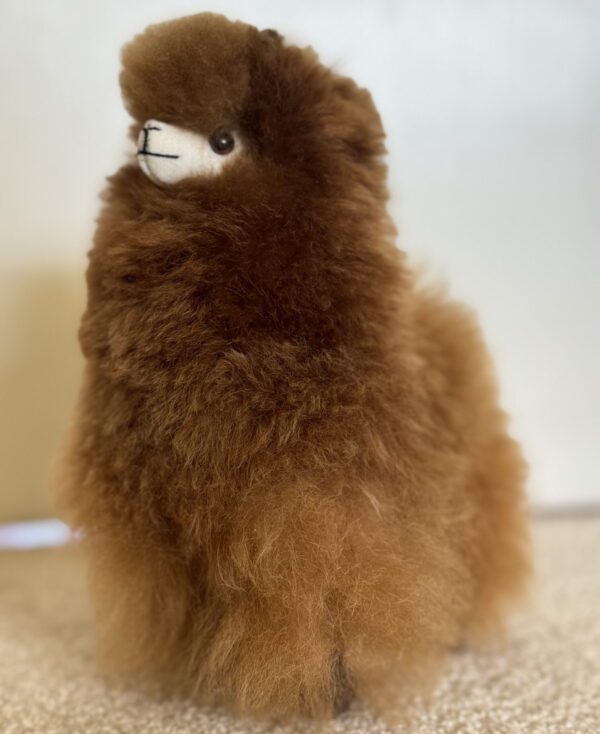 Alpaca Doll - Image 8