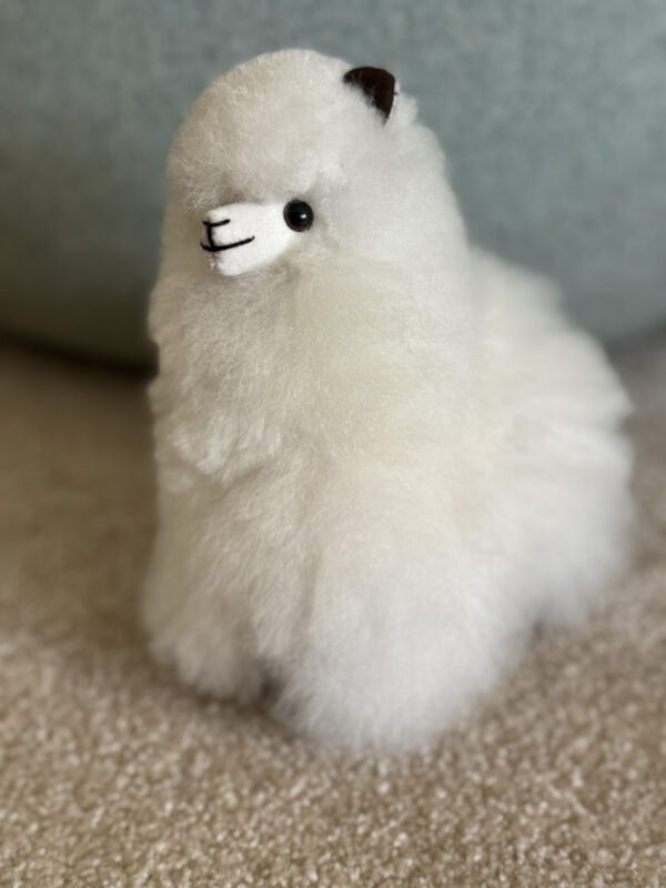 Alpaca Doll
