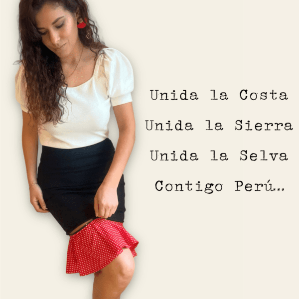 The Peruvian Skirt - Image 2